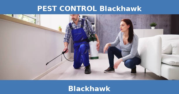 PEST CONTROL Blackhawk